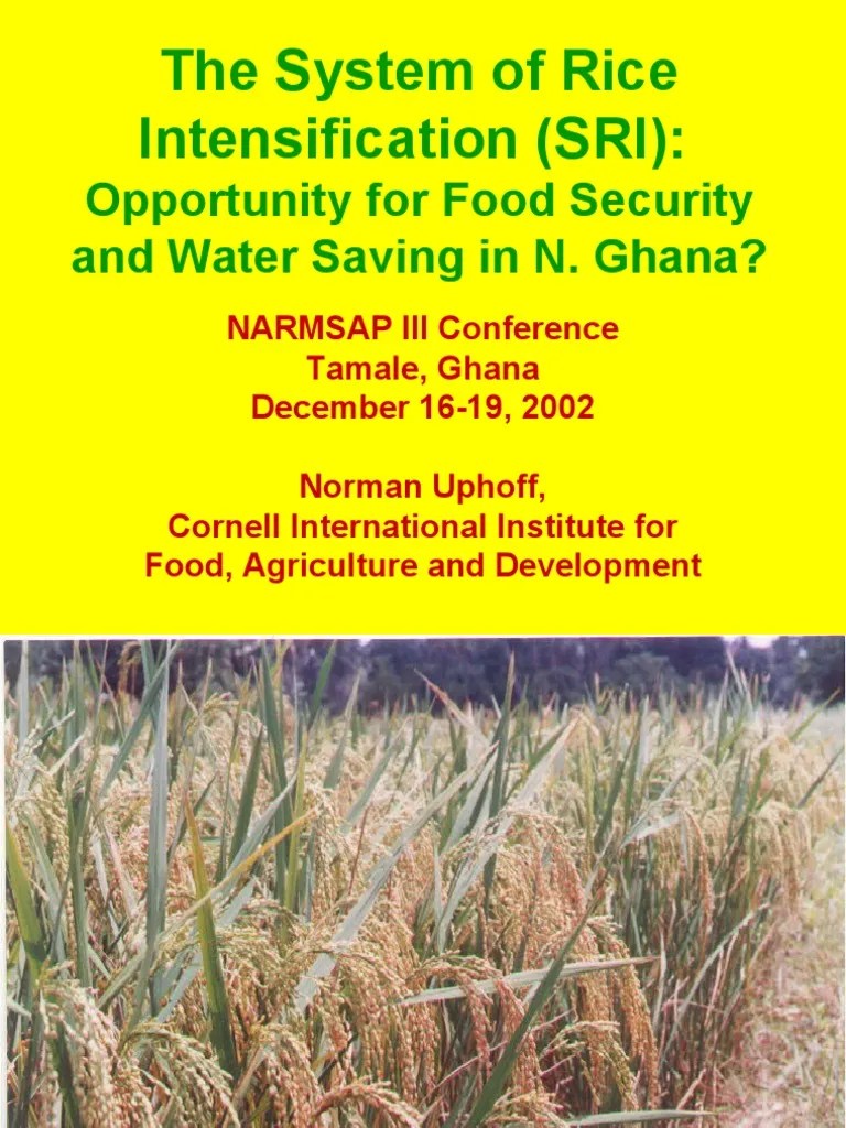 The System Of Rice Intensification (SRI): | Rice | Land Management