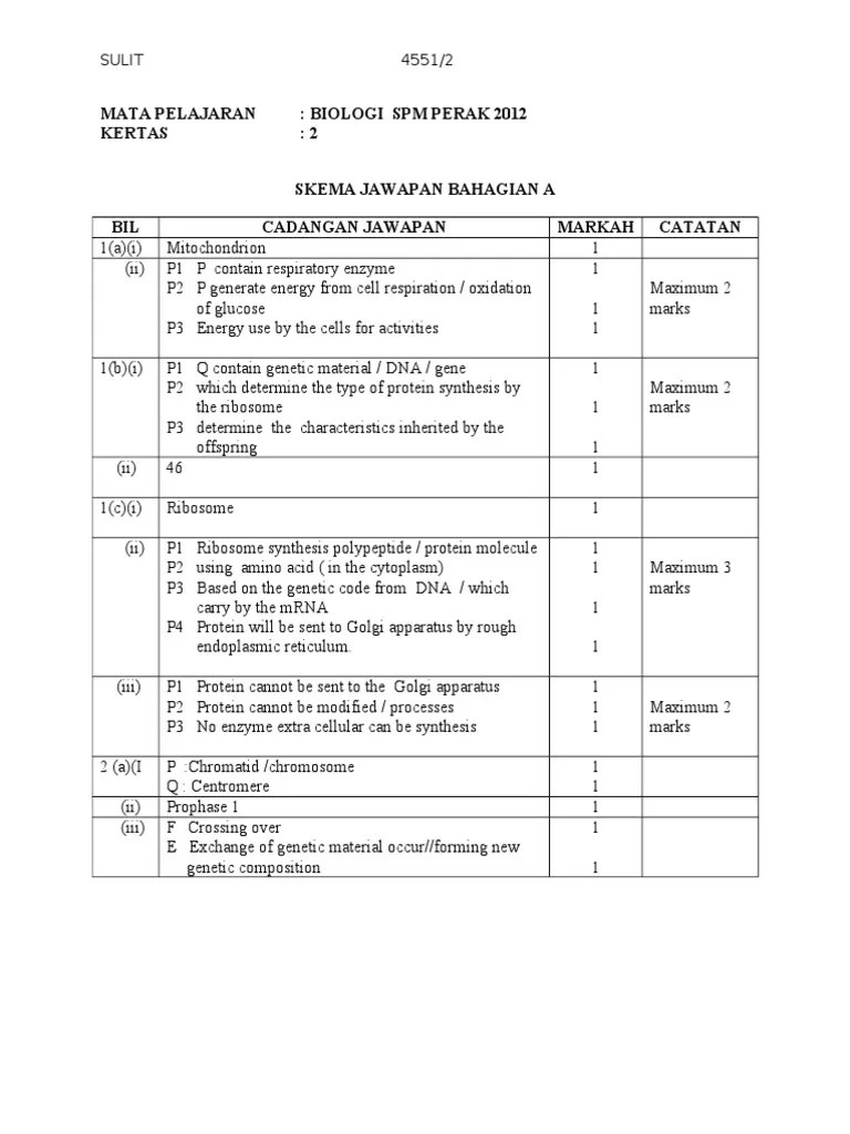 Skema jawapan past year question uitm 2019. Skema Jawapan Past Year Question Uitm