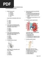 Hormon yang memengaruhi peluruhan daun adalah…. Soal Uas Biologi Kelas Ix Pdf