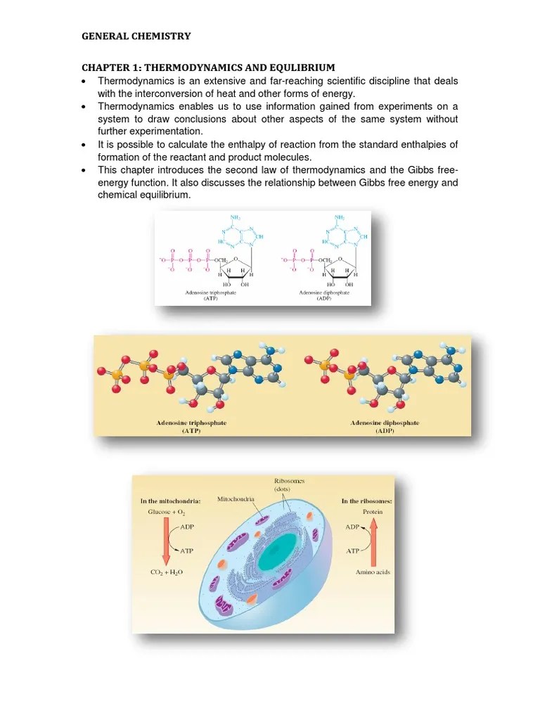 Chapter 1 Thermodynamics And Equilibrium | PDF | Gibbs Free Energy | Chemical Equilibrium