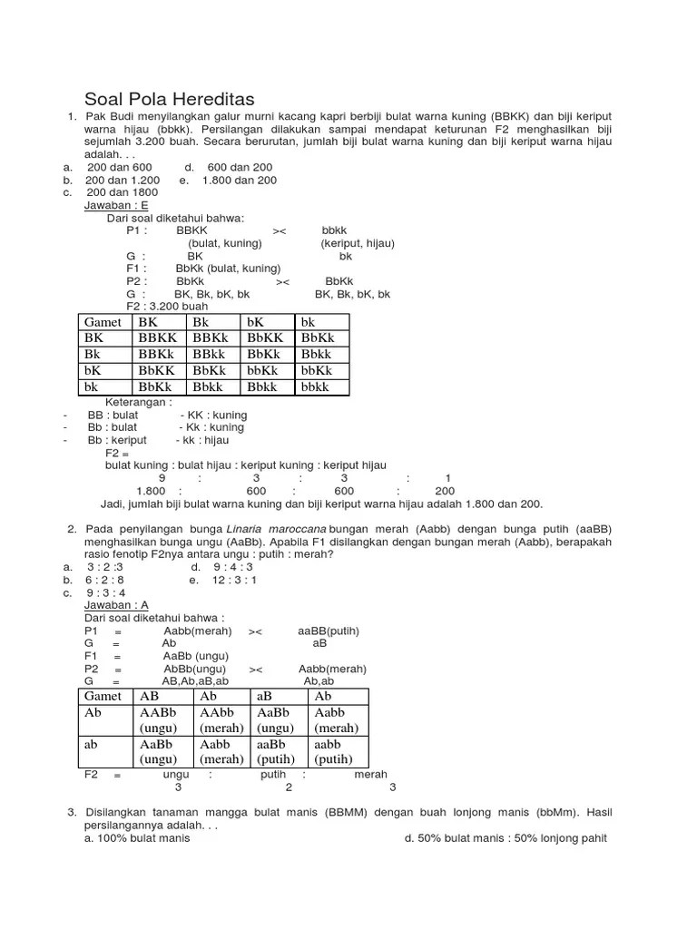 Kunci jawaban soal uas kewirausahaan. Soal Pola Hereditas 1 Pdf