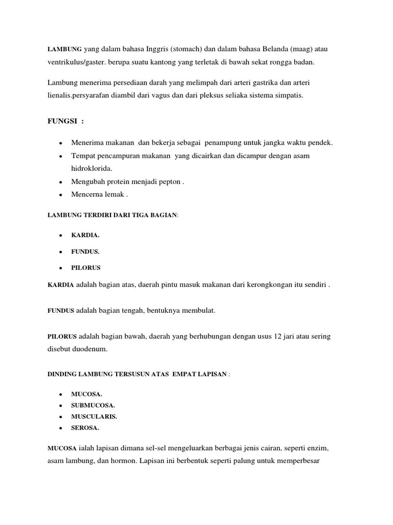 LAMBUNG Yang Dalam Bahasa Inggris | PDF