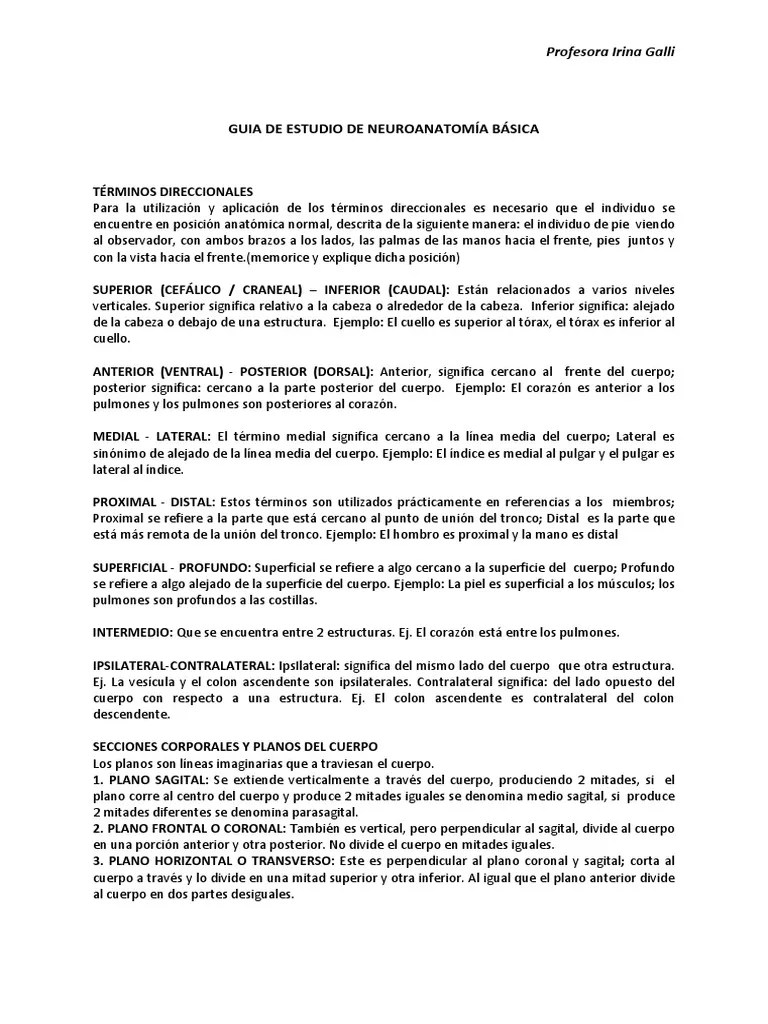 Planos Y Ejes | PDF | Términos Anatómicos De Ubicación | Anatomía