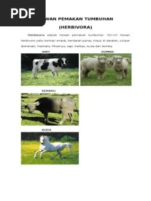 Hewan Pemakan Tumbuhan, Daging Dan Segalanya | PDF