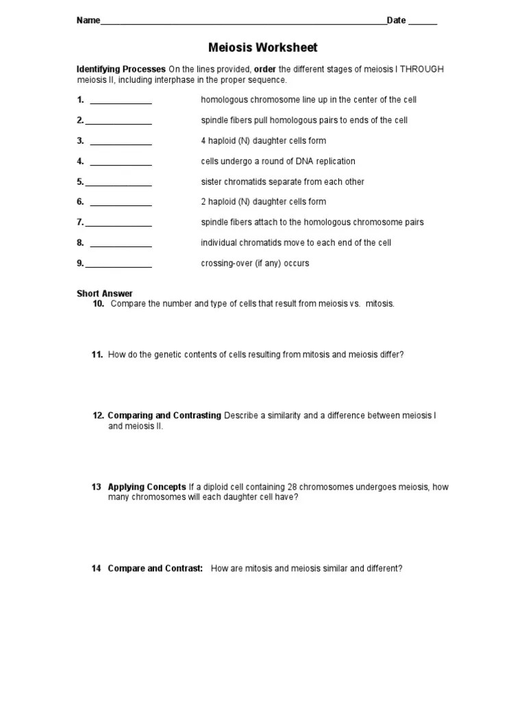Mitosis and meiosis worksheet answer key. Meiosis Worksheets | Meiosis | Chromosome