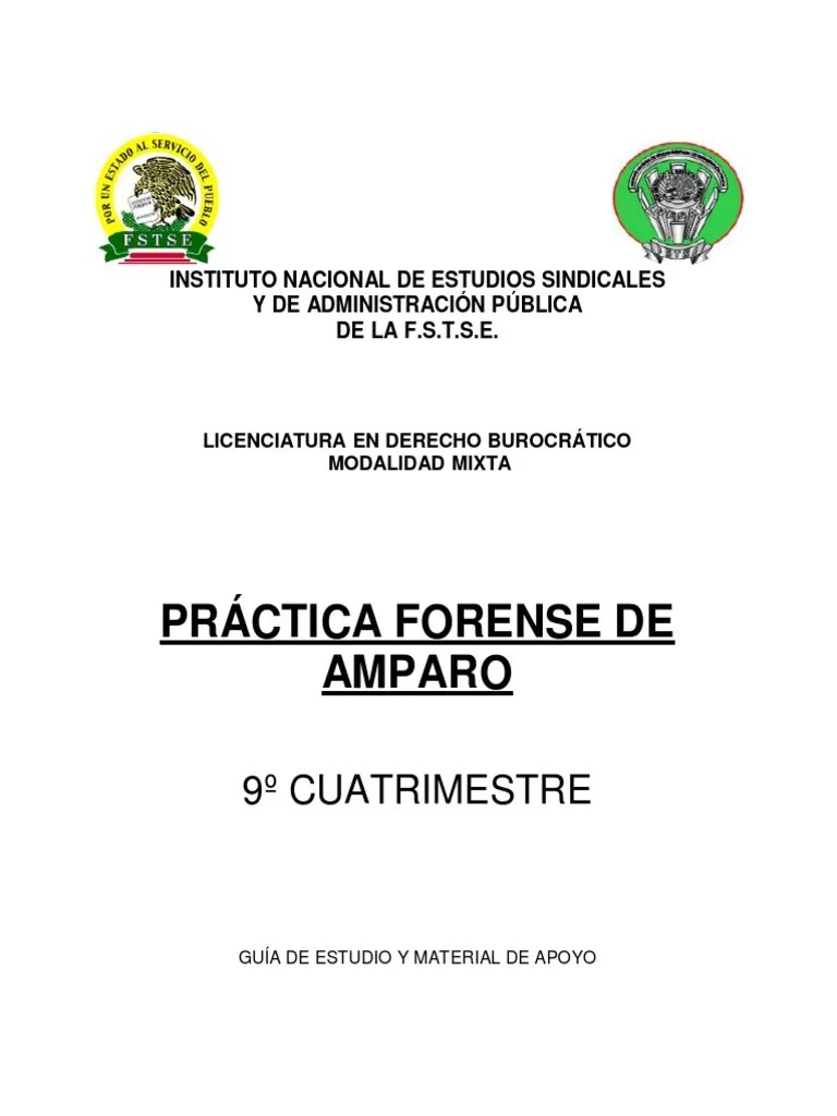 Pràctica Forense De Amparo | PDF | Derecho Constitucional | Aprendizaje