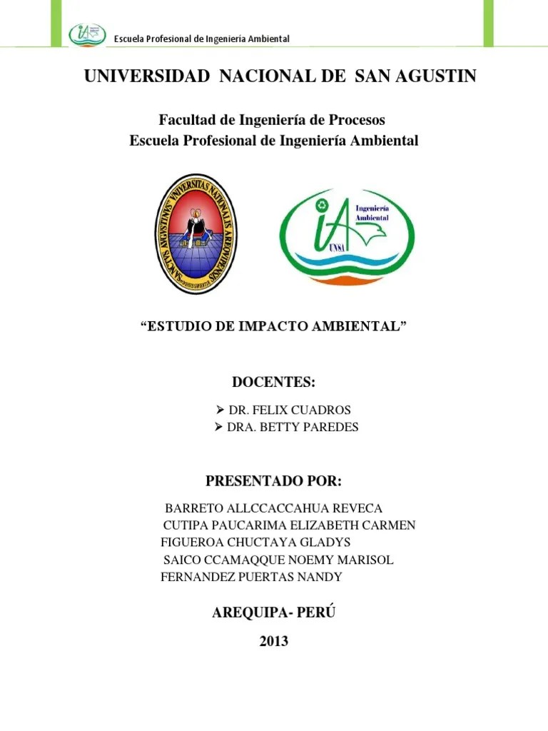 Estudio De Impacto Ambiental Del Proyecto Final | PDF | Ingeniería Ambiental | Degradación Ambiental