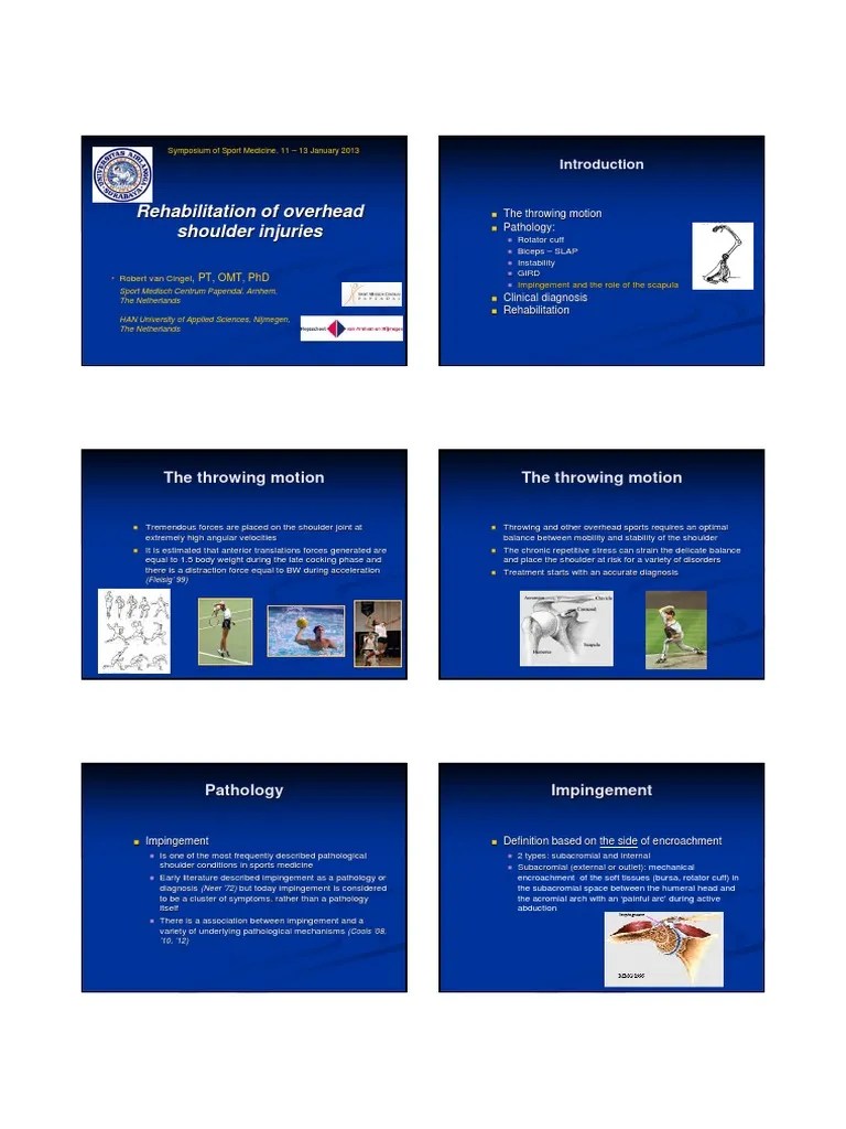 Rehabilitation Of Overhead Shoulder Injuries | PDF | Shoulder | Anatomical Terms Of Motion