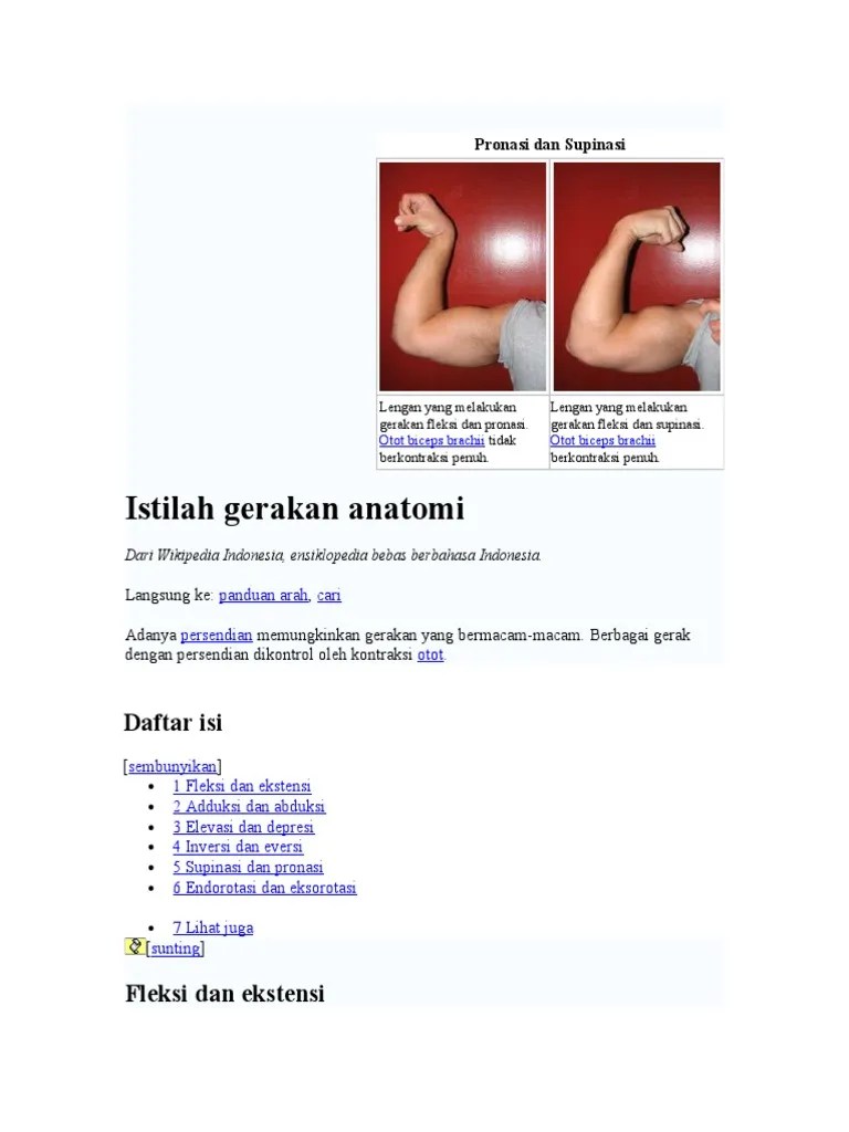 Istilah Gerakan Anatomi | PDF