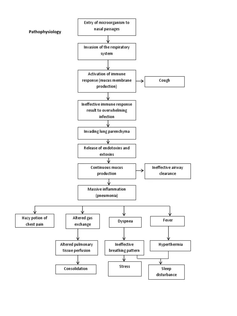 Pathophysiology Pneumonia | PDF