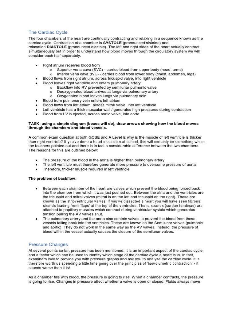 Cardiac Cycle Explained | PDF | Heart Valve | Ventricle (Heart)