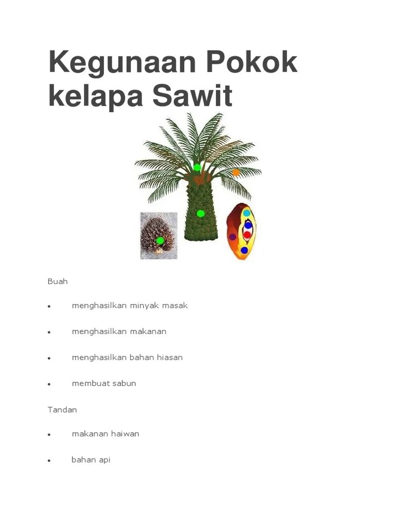 Sitnoolo blogspot com tips tanaman kegunaan daun pokok kelapa sawit. Kegunaan Pokok Kelapa Sawit Pdf