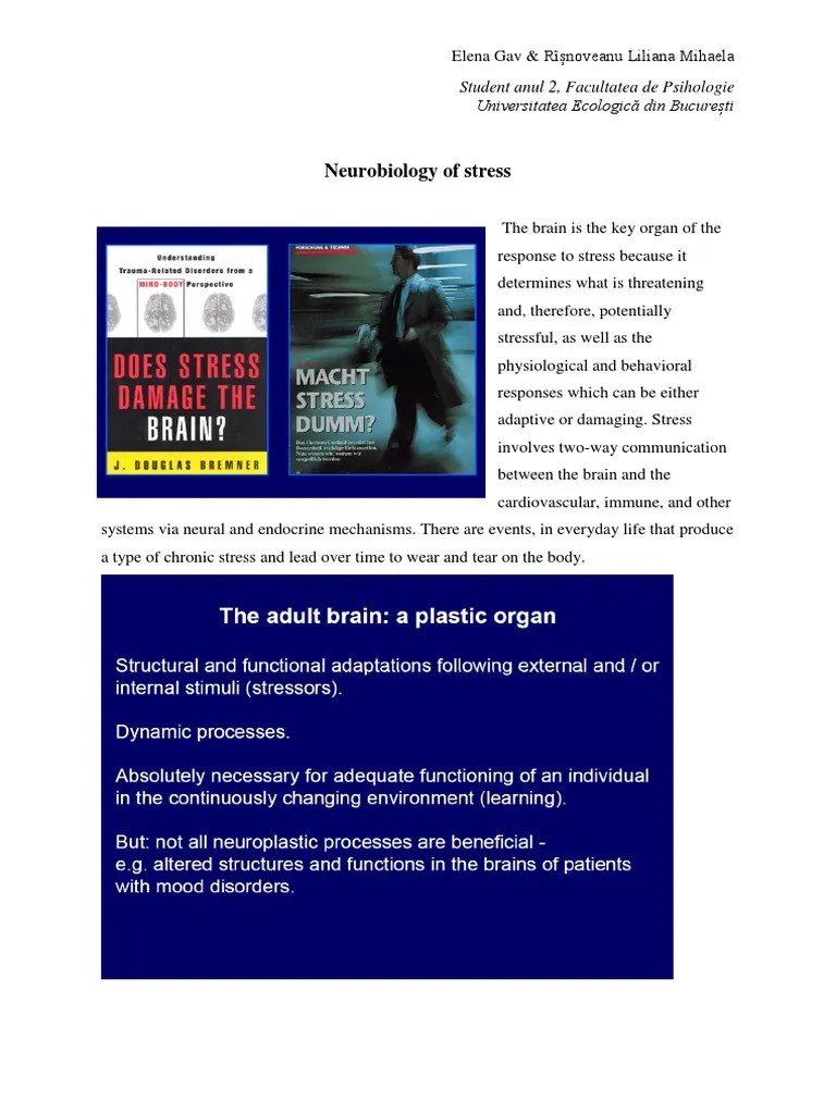 Neurobiology Of Stress | PDF | Cortisol | Stress (Biology)