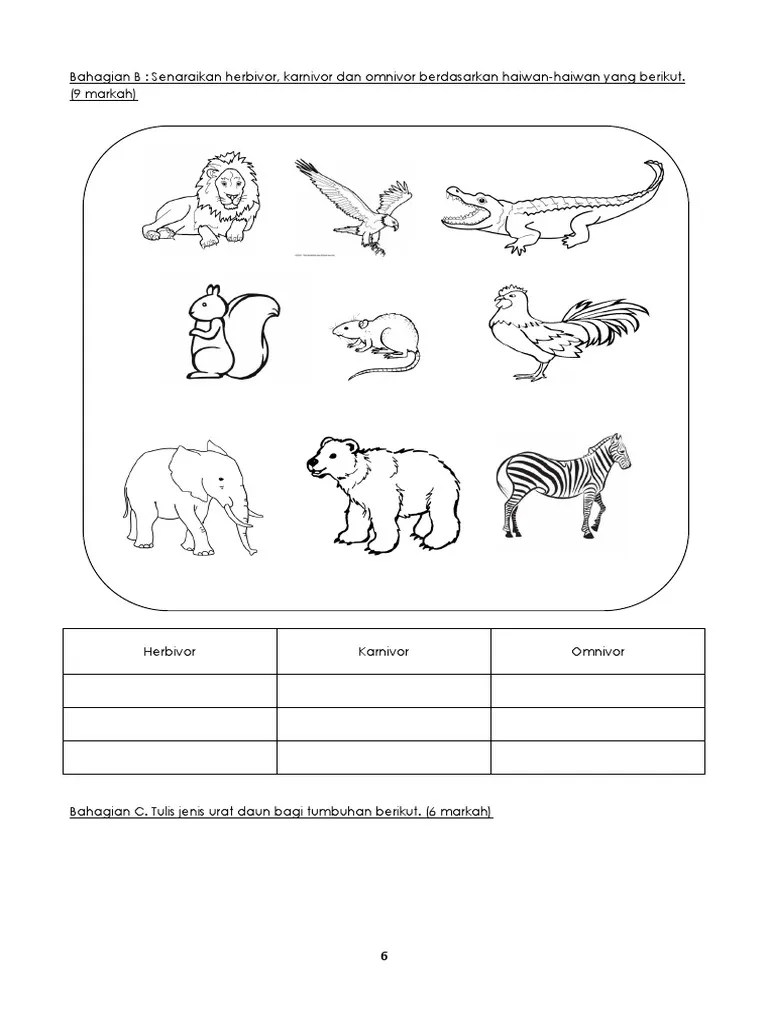 Caterpillar (herbivore) and bird (omnivore) 3 pengguna sekunder atau karnivor primer secondary consumer or primary carnivore haiwan karnivor atau omnivor yang memakan pengguna primer. Bhgn Bcefgh Pksr 4 Thn 3 Pdf