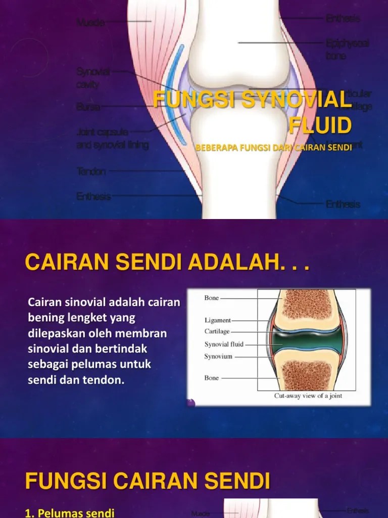 Fungsi Synovial Fluid | PDF