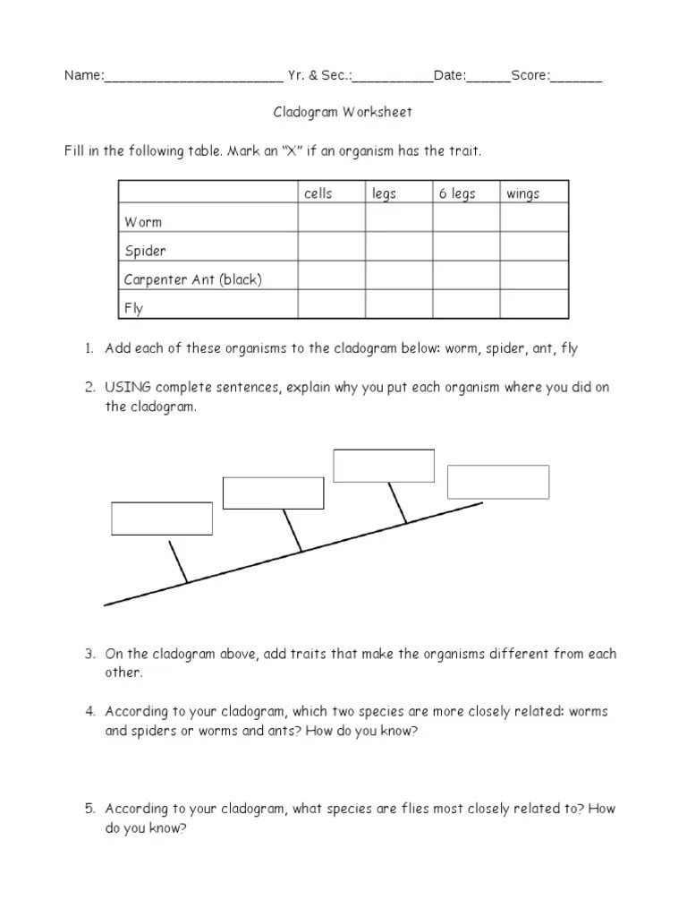 Cladogram Practice Worksheet Worksheet Cute766