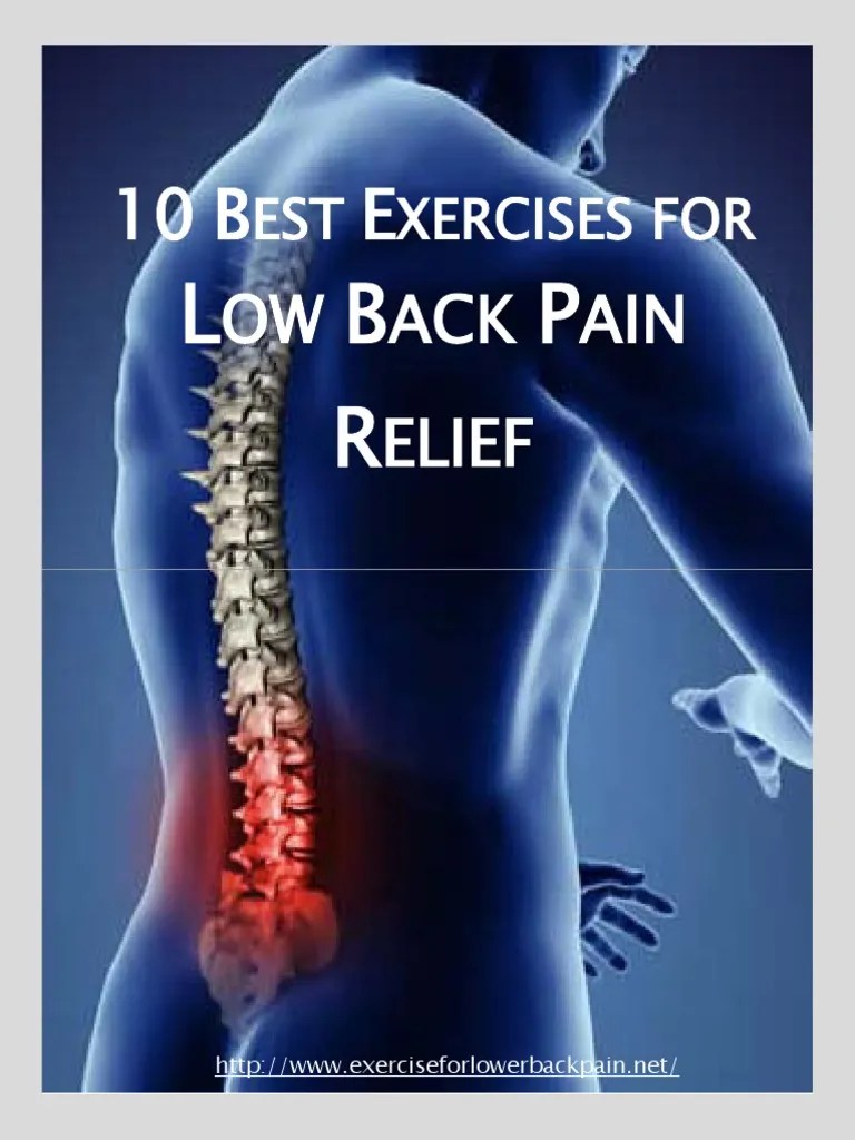 Best Exercises For Low Back Pain | PDF | Back Pain | Hip