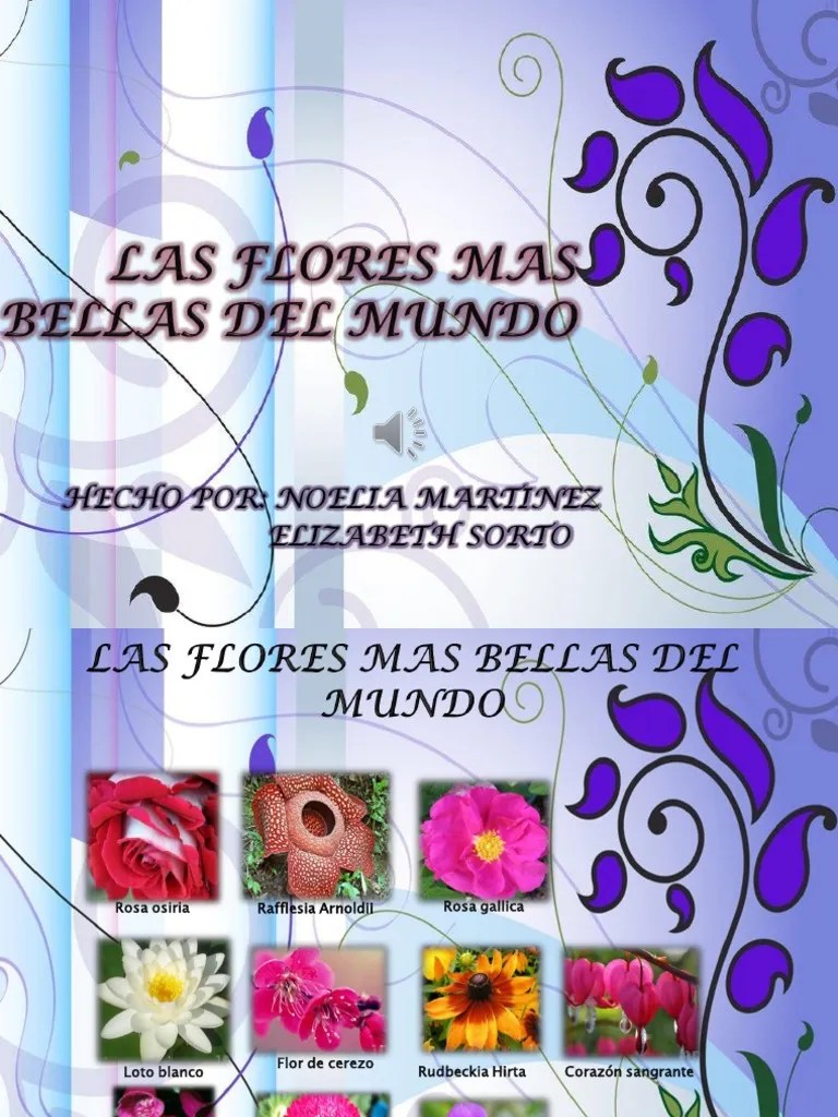 Las Flores Mas Bellas Del Mundo | PDF | Rosa | Flores