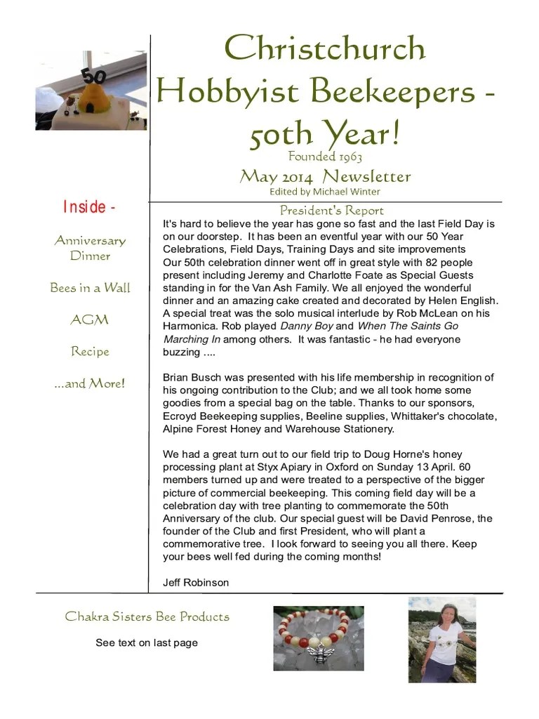 Beehive Newsletter Templates