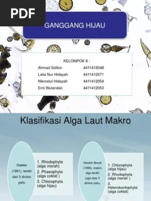 Klasifikasi Ganggang Hijau | PDF