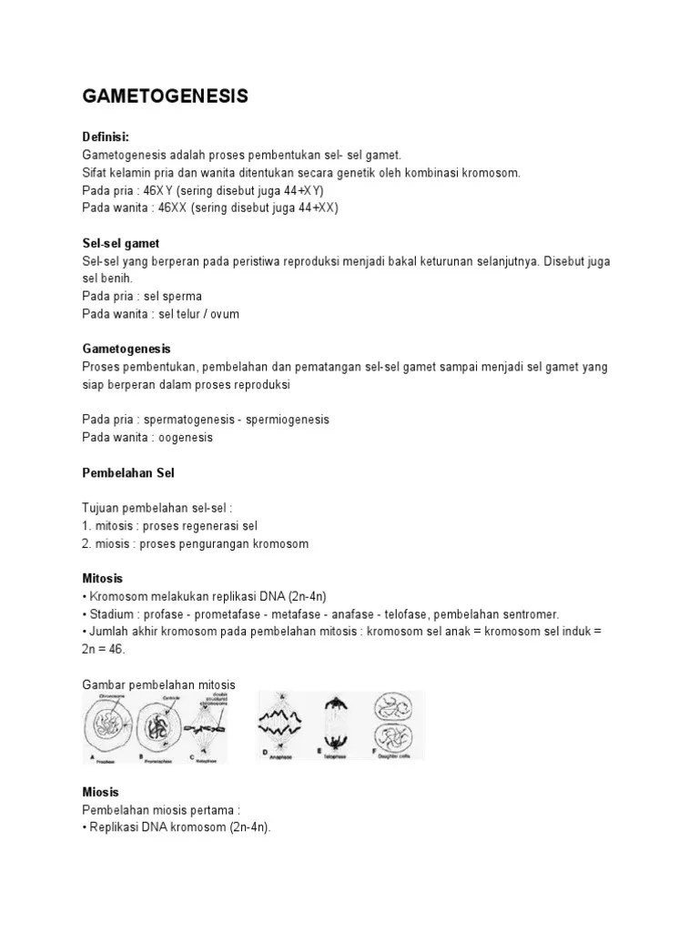 Gameto Genesis | PDF