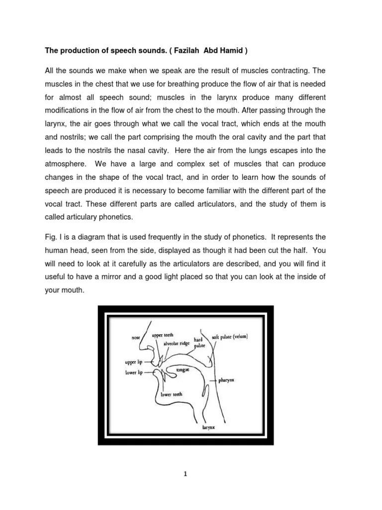 The Production Of Speech Sounds (Final) | PDF | Vowel | Phoneme