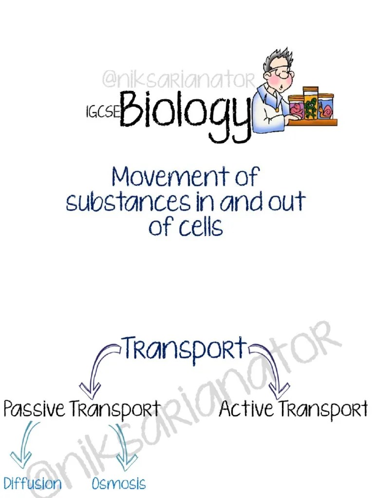 IGCSE Biology - Movement Of Substances In And Out Of Cells | PDF