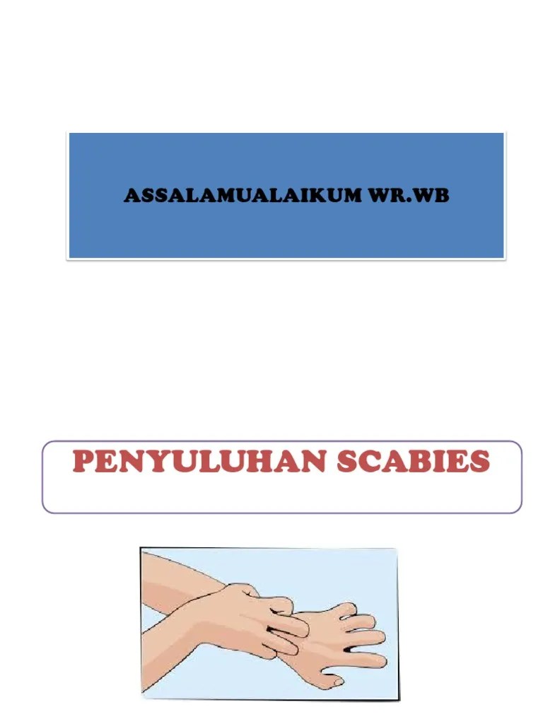 Penyuluhan Scabies | PDF