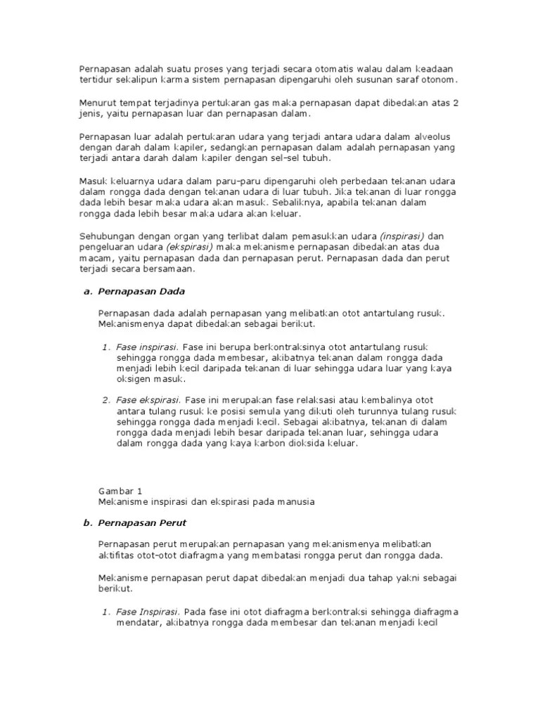 Sistem Pernafasan Inspirasi Dan Ekspirasi | PDF