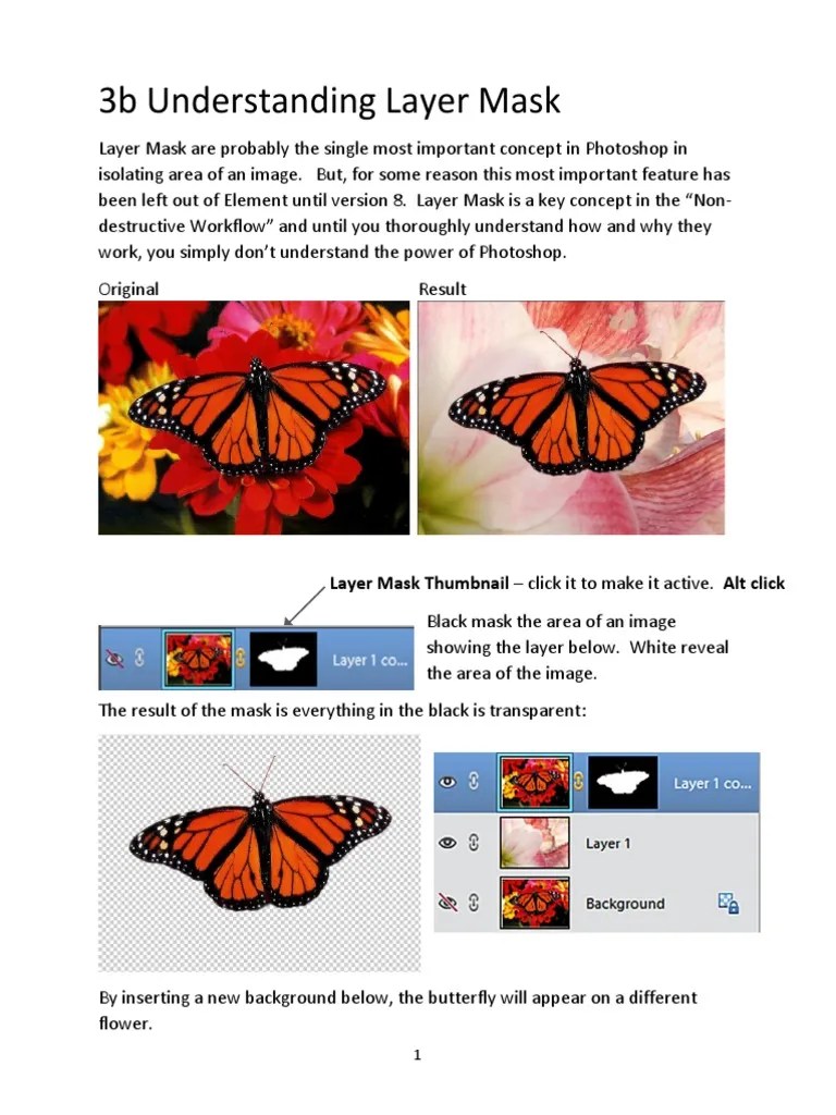 3b Understanding Layer Mask | Download Free PDF | Adobe Photoshop ...