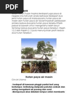 Selain hutan hujan tropika,terdapat juga paya di negara kita.tahukah anda bahawa terdapat dua jenis hutan paya di malaysia,iaitu hutan paya air masin dan . Hutan Paya Pdf