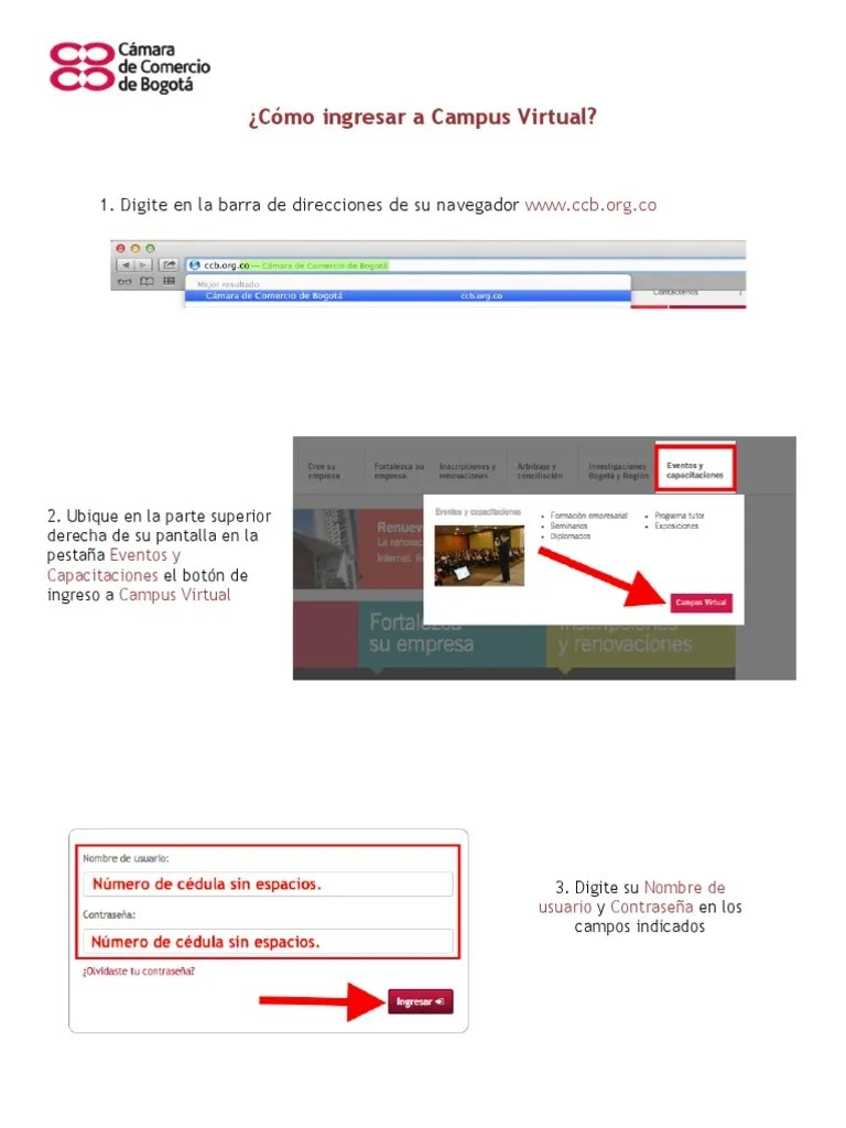 Cómo Ingresar A Campus Virtual | PDF