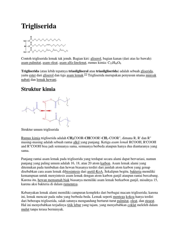 Trigliserida | PDF