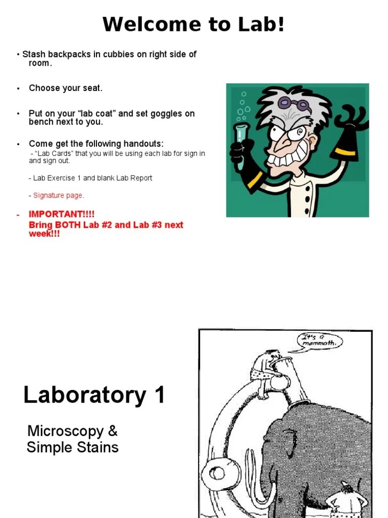 Lab 1 Microscope And Simple Stain | PDF | Microscope | Lens (Optics)
