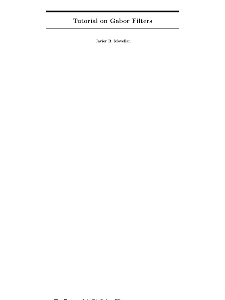 Gabor Filter | PDF | Visual Cortex | Filter (Signal Processing)
