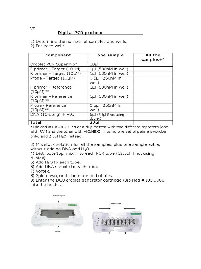 Digital PCR Protocol | PDF | Polymerase Chain Reaction | Primer (Molecular Biology)