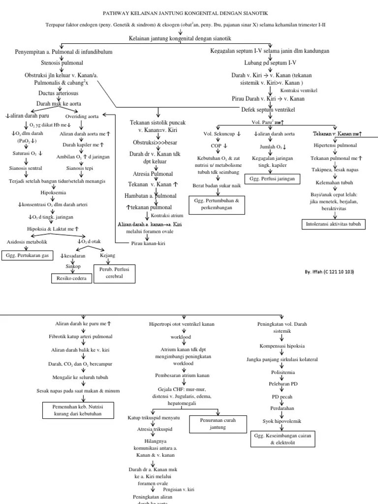 Gambaran Asuhan Keperawatan Pada Anak Kelainan Jantung Bawaan Dengan Gangguan Tumbuh Kembang Di Rsup Sanglah Denpasar Tahun 2019 Repository Politeknik Kesehatan Denpasar Penyakit Jantung Bawaan di Indonesia dengan jumlah penduduk 235 juta maka diperkirakan akan lahir 50000 bayi dengan Penyakit Jantung Bawaan sehingga prevalensinya cukup tinggi.