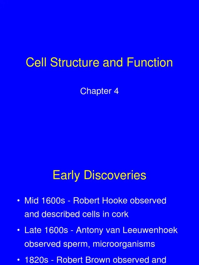 Biology Cell Structure Lecture Powerpoint Mapua | PDF | Cell Nucleus | Cell (Biology)