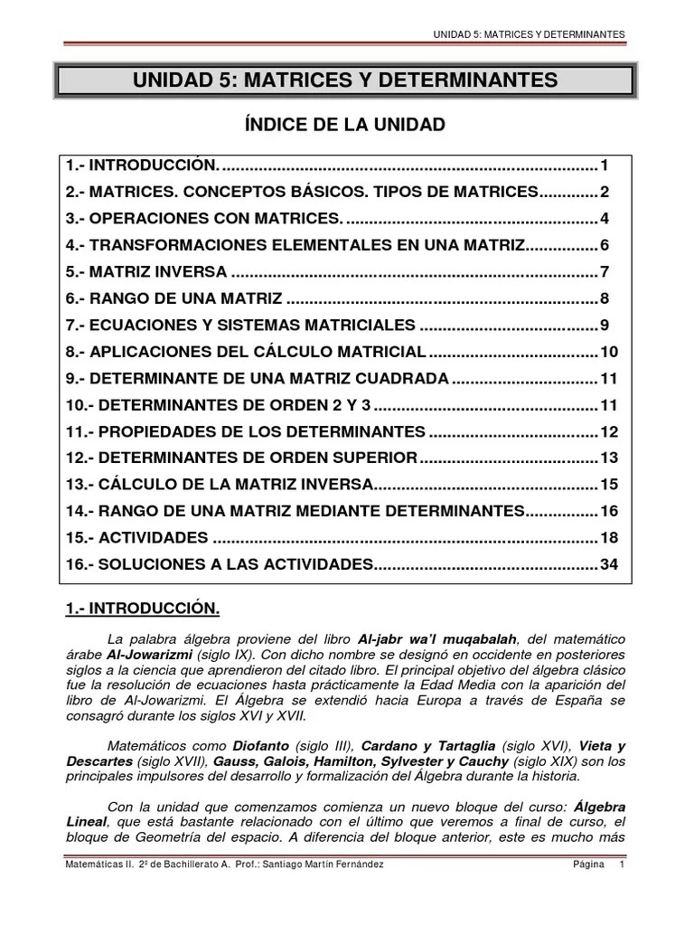 Matrices Y Determinantes | PDF | Determinante | Matriz (Matemáticas)