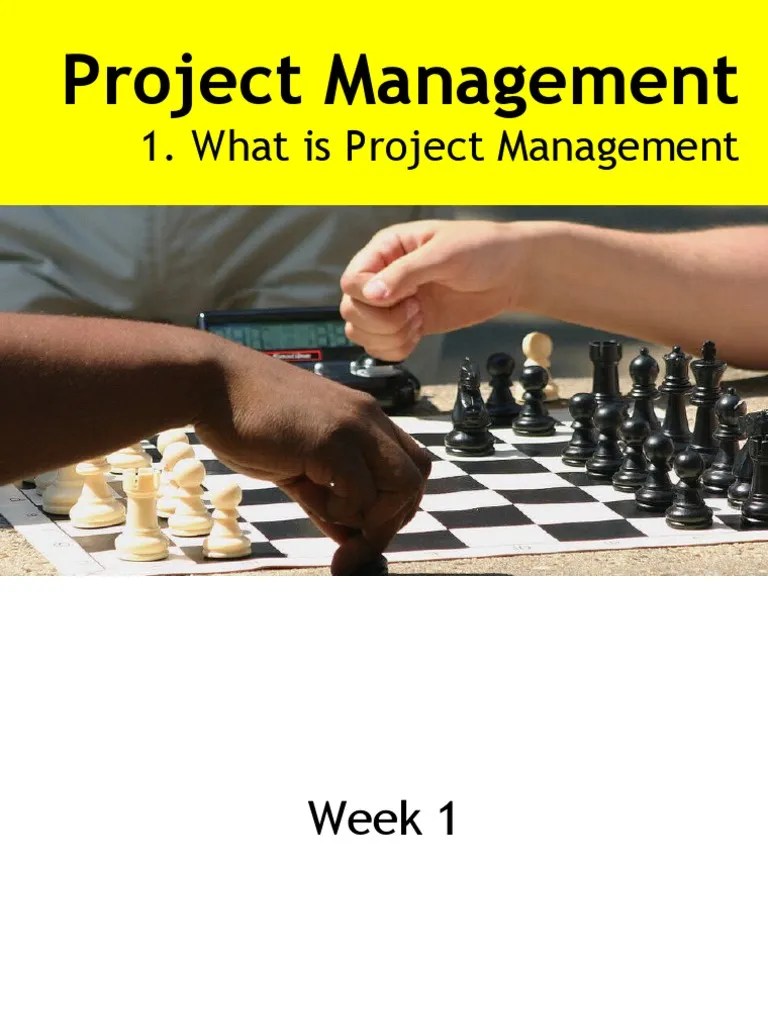 Basic Of Project Management | Download Free PDF | Project Management ...