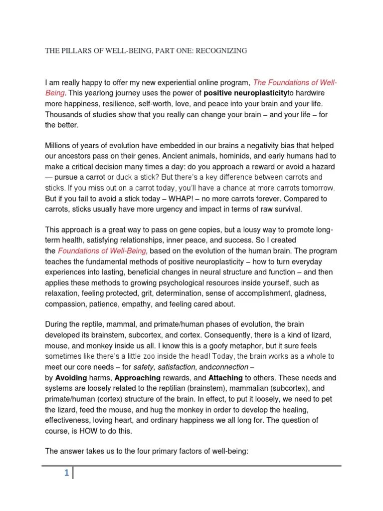 The Pillars Of Well Being | PDF | Contentment | Well Being