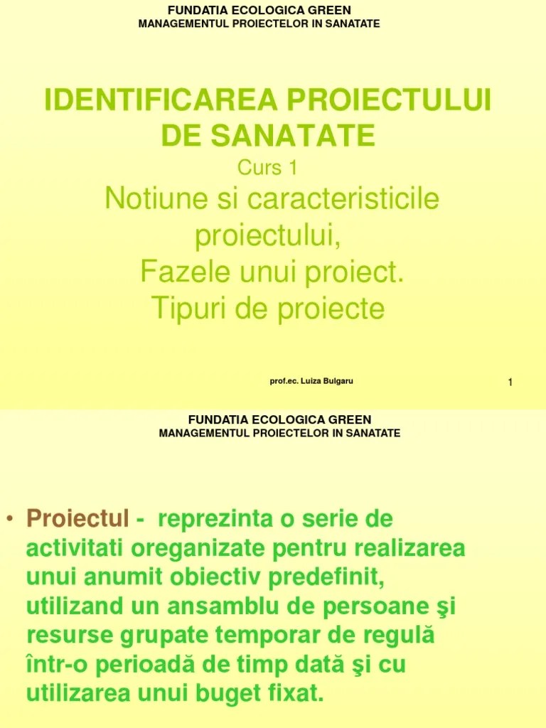 Cinco de mayo is often celebrated in the united states with mexican food and drinks, music, dancing and more. Cel Mai Oblong Dezinfecta Proiect De Sanatate Model Cateringrental Net