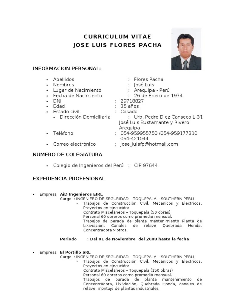 Descarga tu curriculum vitae en pdf. Curriculum Vitae 2009