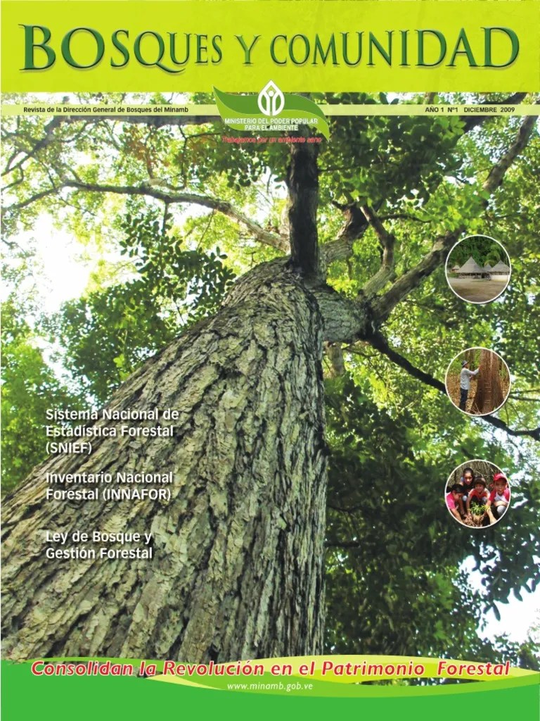 Bosque Y Comunidad | PDF | Los Bosques | Sistema De Información Geográfica
