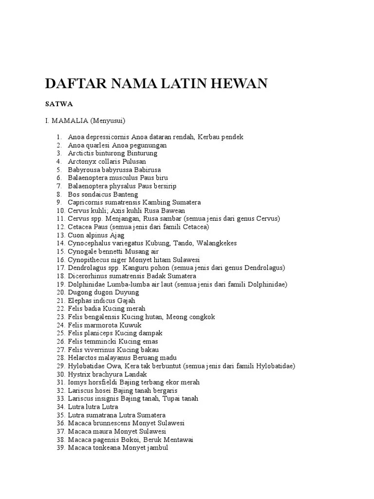 20 Nama Latin Hewan Dan Tumbuhan Yang Mudah Dihafal Babi liar di Eropa.
