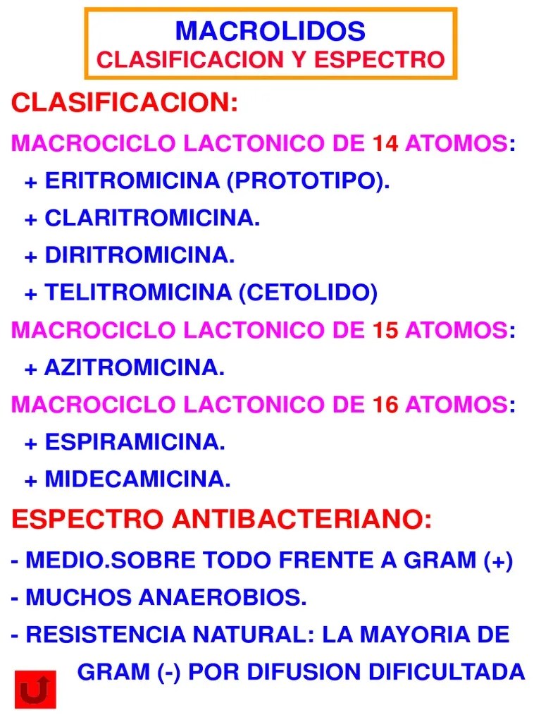 Macrolid Pdf