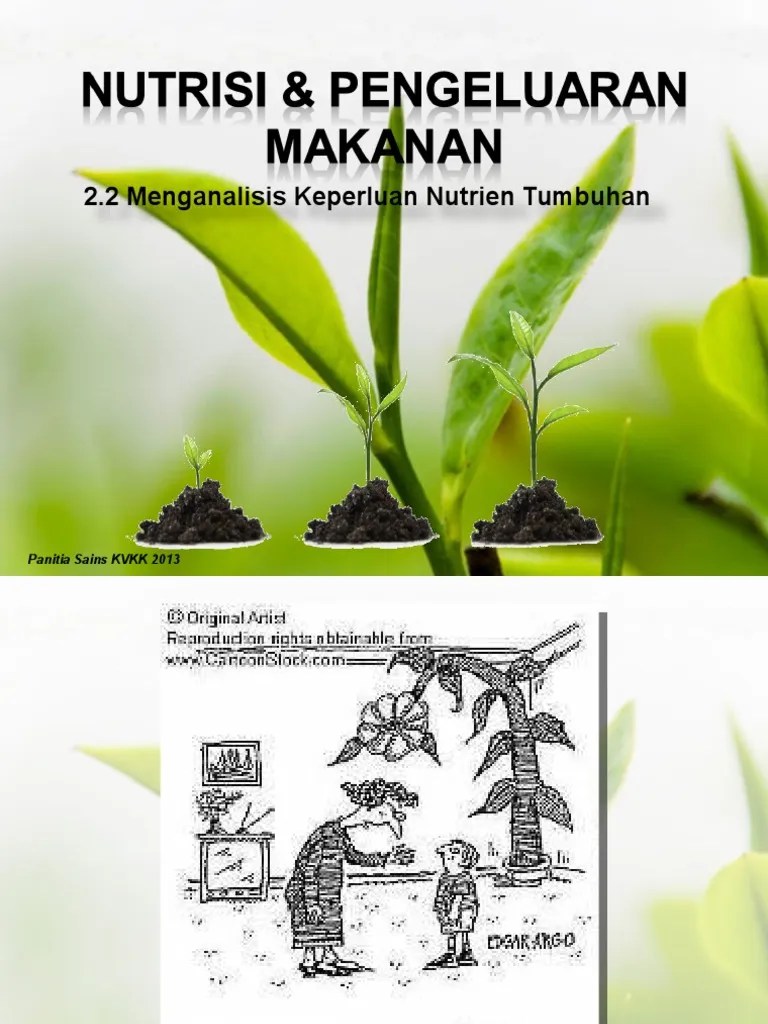 Keperluan Nutrisi Tumbuhan Pdf