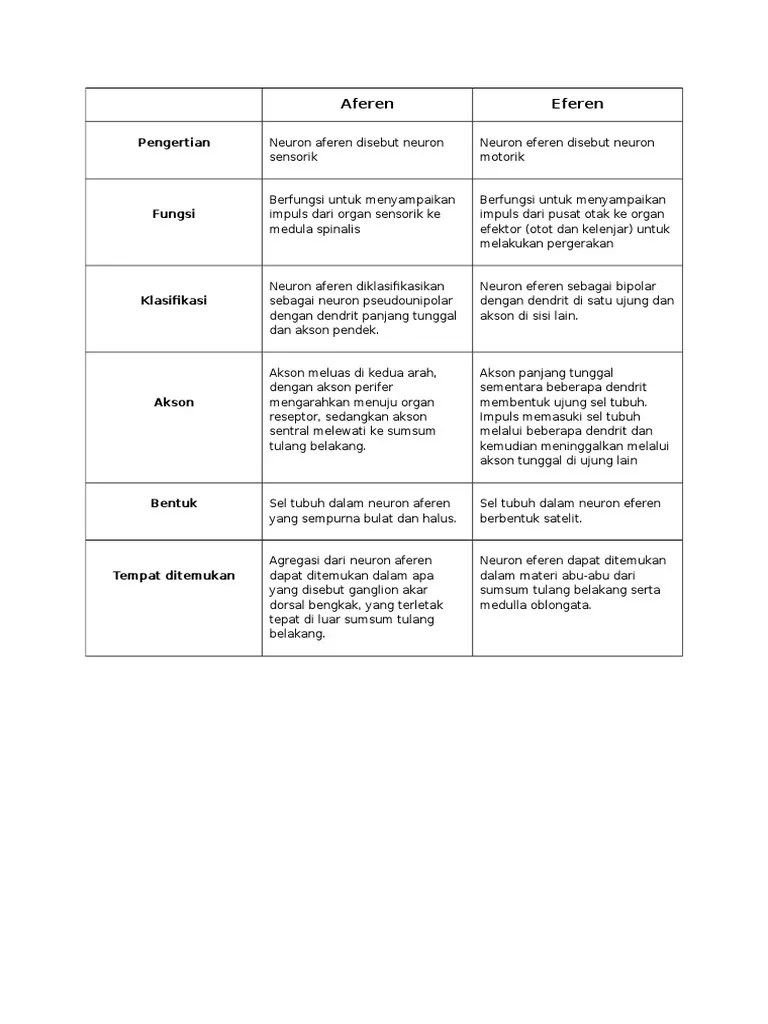 Perbedaan Aferen Dan Eferen | PDF