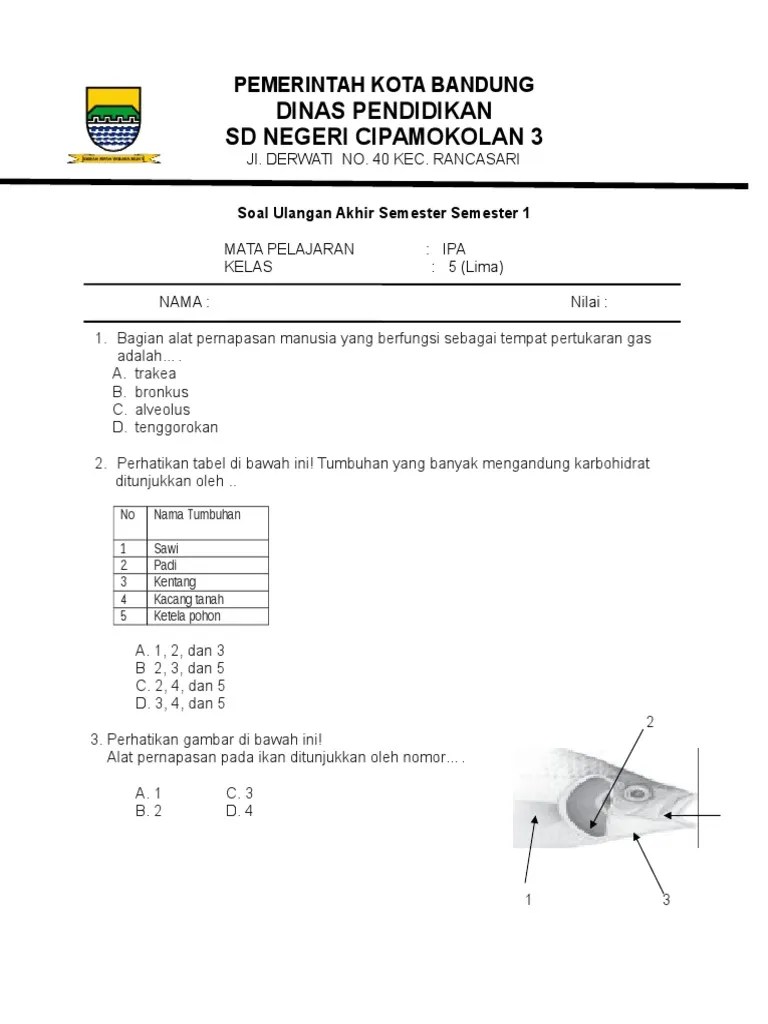 Soal uts ipa kelas 5 semester 1 dan kunci jawaban. Soal Ulangan Harian Ipa Kelas 5 Semester 1 Sekali