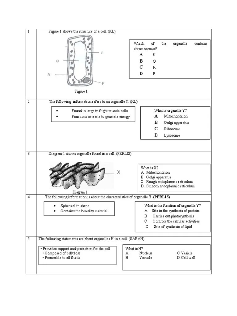 Koleksi Soalan Chapter 2, Biology Form 4. | PDF | Chloroplast | Vacuole